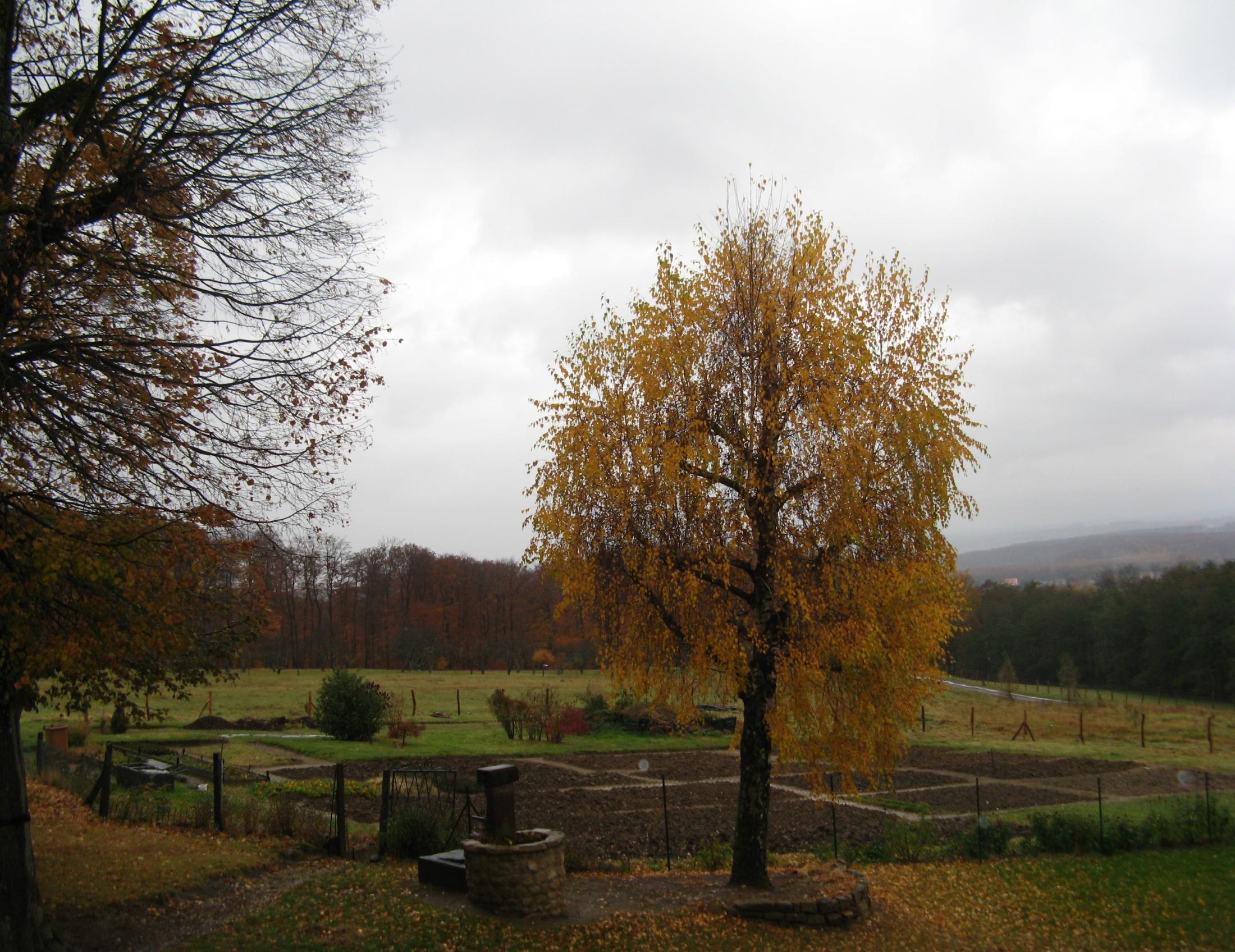 CSSRA_Marienbronn_campagne_jardin.JPG