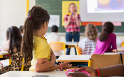 Création des Pôles d’Appui à la Scolarité : nos DITEP mobilisés